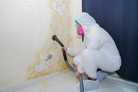 Best Mold Damage Restoration  in USA